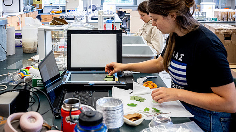 Two female students work in a lab