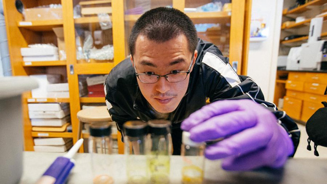 Student working in a lab bends down to look at a sample in a test tube