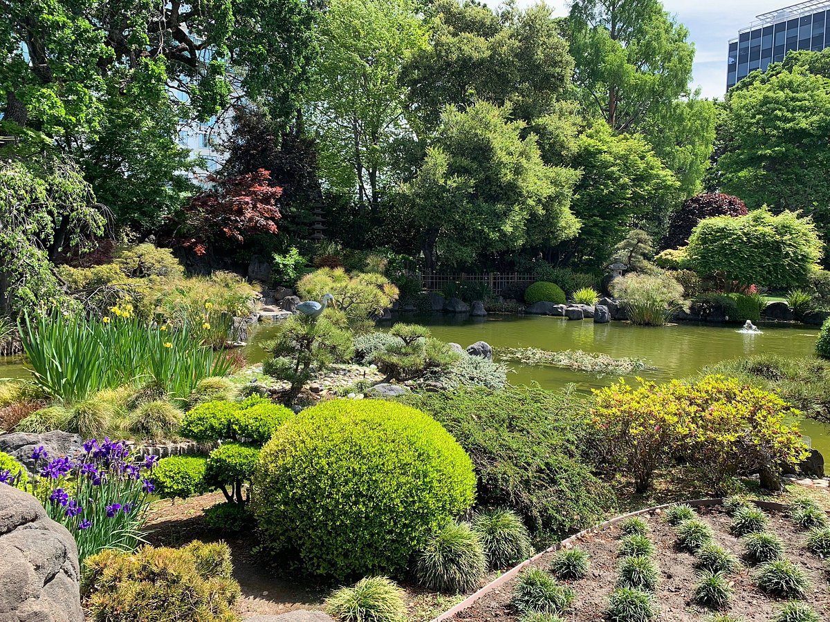 San Mateo Central Park Japanese Garden